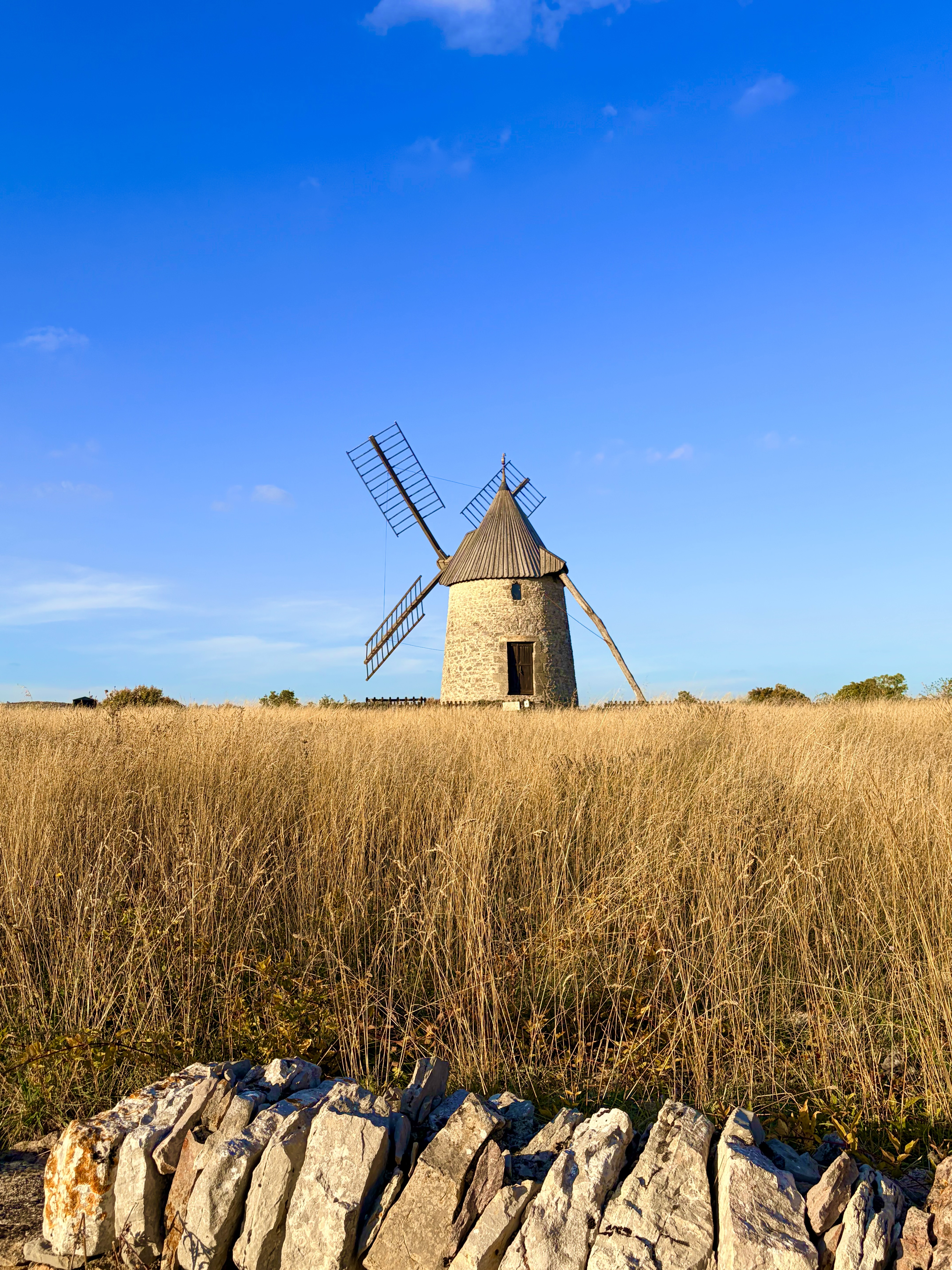 Moulin en pierre au milieu des herbes — arrière-pays